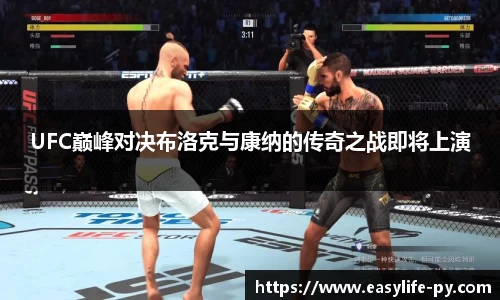 UFC巅峰对决布洛克与康纳的传奇之战即将上演
