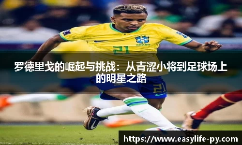 罗德里戈的崛起与挑战：从青涩小将到足球场上的明星之路