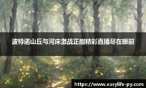 波特诺山丘与河床激战正酣精彩直播尽在眼前
