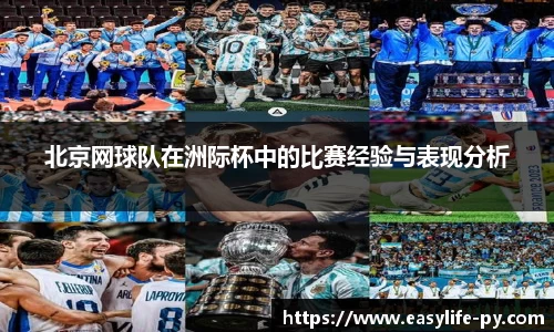 彩神VI首页官网